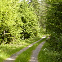 Rundweg Haukvuori