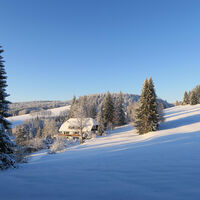 Winterwanderung 3 Herrischried
