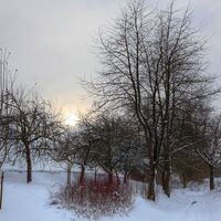 Winterlandschaft rund um Diedelsheim