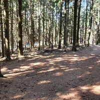 20.8 km Am Trailende zuerst gerde ...