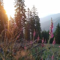 Natur genießen