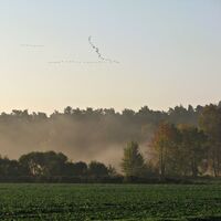 Felder im Wendland