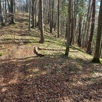 Hier unbedingt rechts halten