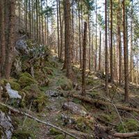 sehr abwechslungsreich