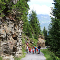 Wandergruppe auf dem Weg zum Wildried