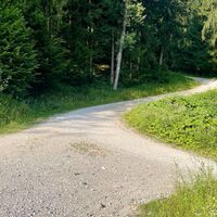 Duftkreuztrail Kleinkohlergraben