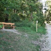 Sitzbank am Walderlebnispfad an der Karlskuppe