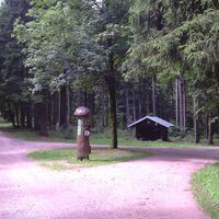 Große Meilerstätte am Rennsteig