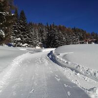 Entlang dem Globi Wanderweg im Winter