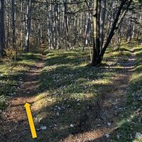 Abzweigung vor dem Hirschboden