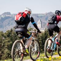 Mountainbiken in St. Martin im Mühlkreis