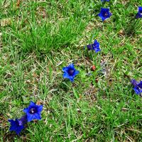 Schmugglerregion Kössen