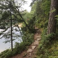 Sonntag, 15. Juli 2018, 12:19 Uhr