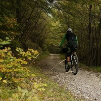 Forststraße Richtung Carobbi