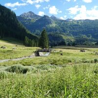 Almen im Tal der Vorderen Gnadenalm