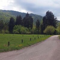 Beim Tierpark gerde weiter