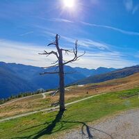 bei der Schwemmalm Hütte