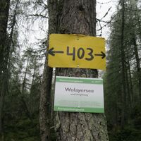 Wolayersee - Hochweißsteinhaus