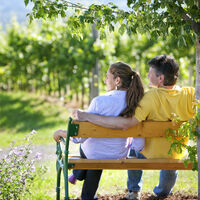 Bank am Seindl, Aussicht genießen