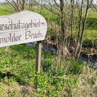 Versmolder Bruch