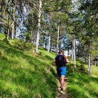Wanderung am Karwendelsteg beim Karwendelbach.jpg