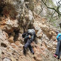 Währingersteig