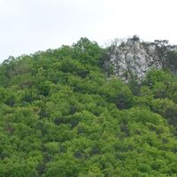Bischofsmütze zoom