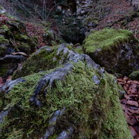 Unterberg
