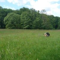 Pilgerer im Schöpstal