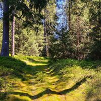 Totenweg am Pingenfeld Eisenberg