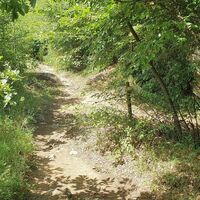 7.9 km rechtwinkelig rechts: Wanderweg, spitz rechts: Weiterfahrt