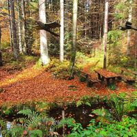 Schleuse mit Holzvögeln