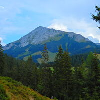 Niederalpl - Hohe Veitsch - Seewiesen