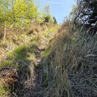 Abstieg vom Kleinen Jauerlinggipfel Nord