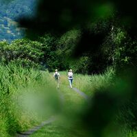 Spatzieren im Ruggeller Riet