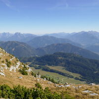 Blick zur Alm