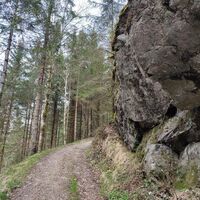 Echostein (hier hört man das Bachrauschen)