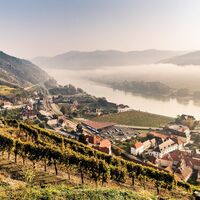 Ausblick vom Tausendeimerberg in Spitz auf die Donau