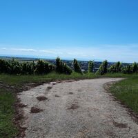 Ausblick auf Schwarzwald nahe Bad Bergzabern