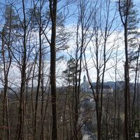 Blick durch den Wald nach Maria Langegg