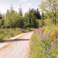 Wanderung auf dem Kamm des Erzgebirges