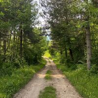 Wanderweg: Der Berg von Saint-Benoit_Groslée-Saint-Benoit