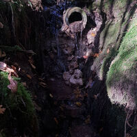 Fitnessrunde Mutlangen