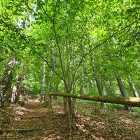 Wandern auf dem Heubergweg