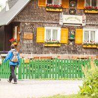 Auf dem Weg zur Todtnauer Hütte Feldberg