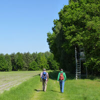 Wanderer am Rand des Landeswaldes Ummel