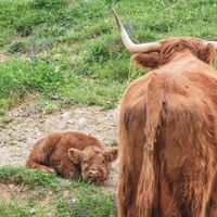 Kultur-Naturweg Rein