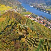 Spitz an der Donau mit dem Tausendeimerberg