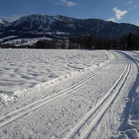 Sonnige Loipe im Großdorfer Feld