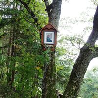 Abstieg über Staudenweg